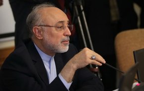 رایزنی صالحی و رئیس کمیسیون انرژی اتمی فرانسه در وین