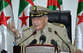 قايد صالح: نلمح اليوم أفق المستقبل الواعد الذي ينتظر الشعب
