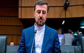رژیم صهیونیستی، تهدید جدی برای صلح و امنیت منطقه ای و بین المللی است/ ضرورت شفافیت حداکثری در برنامه هسته ای امارات و عدم انحراف از مقاصد صلح آمیز