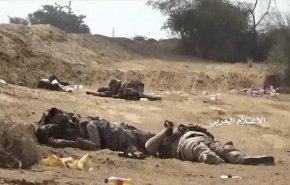قطر خواستار اقدام فوری برای توقف جنگ در یمن شد