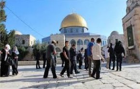 شاهد .. مستوطنون يقتحمون الأقصى بحماية شرطة الإحتلال 