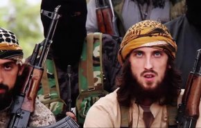 الكشف عن ارقام صادمة لعدد الإرهابيين الأجانب الذين دخلوا سوريا