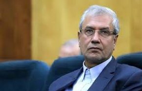 ربیعی: لایحه اعطای تابعیت بیشتر جنبه اخلاقی دارد تا حقوقی
