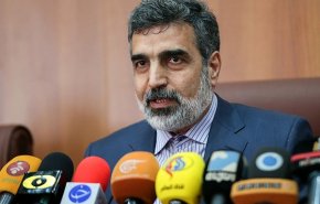 کمالوندی: مواد هسته‌ای فردا به «فردو» منتقل می‌شود