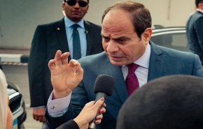 تقرير 