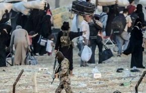 هشدار الحشد الشعبی درباره احتمال آزادی هزاران داعشی در سوریه
