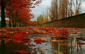 هشدار هواشناسی/ بارش شدید باران پاییزی در 4 استان کشور/ ایران بارانی می شود