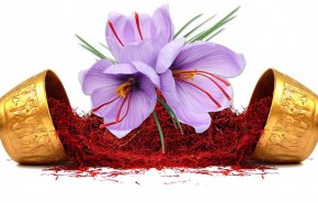 ویژه برنامه العالم به مناسبت روز صادرات؛ 96 درصد از زعفران جهان در ایران کشت می شود  +  فیلم