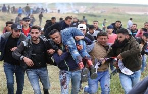 زخمی شدن ۷۷ نفر در هشتادمین راهپیمایی بازگشت/ پافشاری مردم فلسطین بر نبرد بازگشت و آزادی