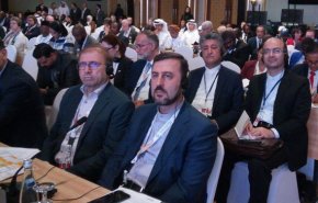 سفیر و نماینده دائم ایران در دفتر سازمان ملل در وین معاون رئیس کنفرانس عمومی یونیدو شد
