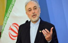 صالحی: واحدهای دو و سه نیروگاه بوشهر هفته آینده بتن ریزی می شود/ راه‌اندازی زنجیره ۳۰تایی سانتریفیوژهای IR۶ در نطنز