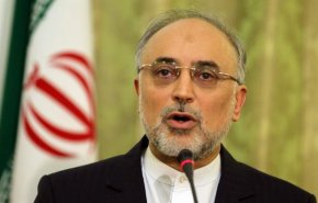 صالحی: بازرسان آژانس آغاز و میزان غنی سازی را اعلام می‌کنند/ در چارچوب برجام عمل می‌کنیم