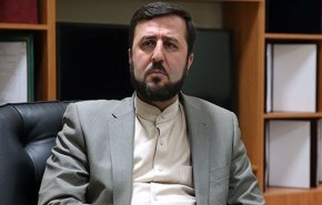 ماجرای کیف مشکوک بازرس زن آژانس و درخواست اخراج وی از ایران