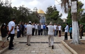 بیش از 4 هزار شهرک‌نشین صهیونیست به مسجدالاقصی تعرض کردند