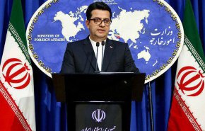وزارت خارجه: منتظر پاسخ آژانس درباره بازرس متخلف هستیم