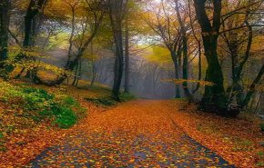 کارشناس هواشناسی: برف و باران تا چهارشنبه ادامه دارد