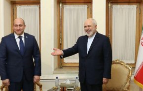دیدار معاون وزیر خارجه گرجستان با ظریف