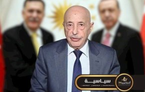 درخواست پارلمان تحت سیطره حفتر از سازمان ملل