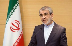 کدخدایی: رسیدگی شورای نگهبان به شکایات داوطلبان براساس قانون