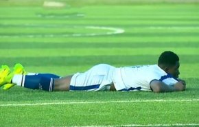 بالفيديو..توقف مباراة في كأس تنزانيا بسبب هجوم'سرب نحل'