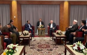 سخنگوی انصارالله یمن: دیدار با ظریف مهم بود