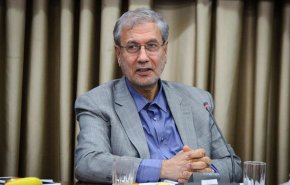 سخنگوی دولت هرگونه نقش آفرینی کشورمان در حمله به نیروهای آمریکا در عراق را تکذیب کرد