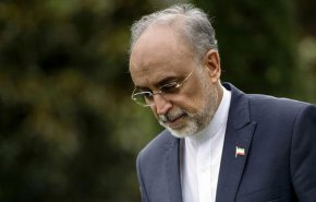 صالحی: شهادت حاج قاسم احیای مجدد مبارزه با استکبار است