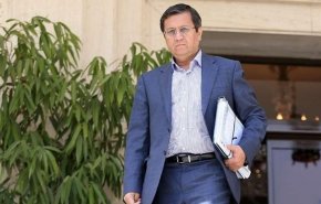 بازدید سرزده رئیس کل بانک مرکزی از صرافی های فردوسی
