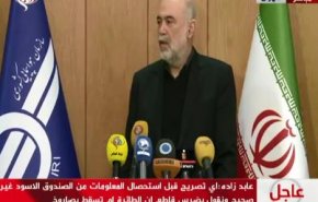 رئیس سازمان هواپیمایی کشور: قاطعانه اعلام می کنم که هواپیما با موشک سقوط نکرده است