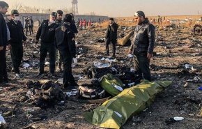 زوج جان‌باخته هواپیمای اوکراینی در کنار سردار حاج قاسم سلیمانی +عکس