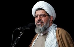 دشمن می‌خواهد از سپاه انتقام بگیرد/ ملت ایران به خاطر یک اشتباه هرگز به فدائیان خود پشت نمی‌کند
