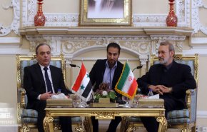 دیدار نخست وزیر سوریه با علی لاریجانی