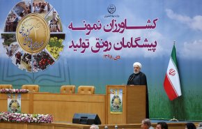 پرونده هواپیمای اوکراینی، یک پرونده عادی و معمولی نیست/ قوه قضاییه برای رسیدگی به موضوع، دادگاهی ویژه با قاضی عالیرتبه تشکیل دهد