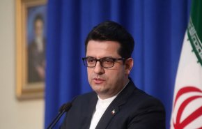 سخنگوی وزارت خارجه: ظریف به داووس نمی رود/ بیانیه اروپایی ها مبنی بر فعال سازی مکانیسم حل اختلاف غیر قابل قبول است/ اگر اروپایی ها همراهی نکنند دست به اقدام قوی تری می زنیم/ اقدام سفیر انگلیس مشکوک و خلاف شئون دیپلماتیک بود