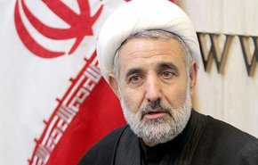 ذوالنوری از پاسخ‌های ظریف قانع شد
