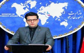 موسوی: برخورد مرزبانی آمریکا با ایرانیان، نژادپرستی محض است
