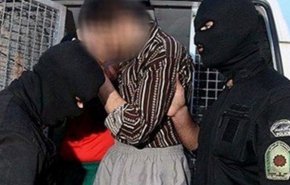 تمساح خلیج فارس اعدام شد
