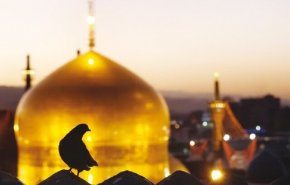 ویدئویی از شوخی در حرم امام رضا علیه‌السلام که خیلی زود به واقعیت پیوست!
