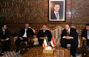 لاریجانی در سوریه: تروریست‌ها را آمریکا بوجود آورد و برخی کشورهای منطقه نیز از آنها حمایت کردند/ ایران در بازسازی‌ها نیز کنار سوریه خواهد بود
