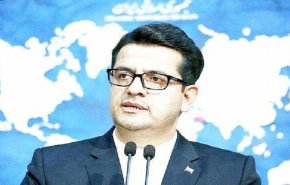 موسوی: وزیران خارجه هلند و اتریش به ایران سفر می کنند