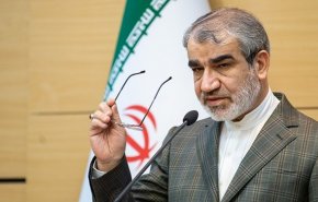 سخنگوی شورای نگهبان: 3 تا 7 ناظر در هر شعبه اخذ رای حاضر خواهند بود
