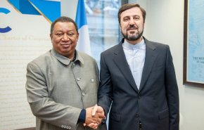سفیر ایران و دبیرکل اوپک تحولات بازار نفت را بررسی کردند