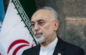 رییس سازمان انرژی اتمی رأی خود را به صندوق انداخت