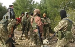 کمیسر کمیته بین‌المللی حقوق بشر: ترکیه خاک سوریه را اشغال کرده
