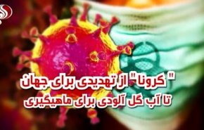 ویدئوگرافیک/ 
