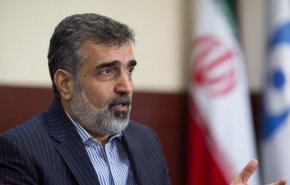 کمالوندی: جایگاه آژانس حقوقی است نه سیاسی/ به سئوالات غیر حقوقی پاسخ نمی دهیم
