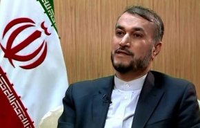 امیرعبداللهیان: شیخ‌الاسلام را باید سردار دیپلماسی مقاومت خواند