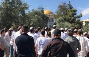 حمله صدها صهیونیست طی هفته گذشته به مسجد الاقصی