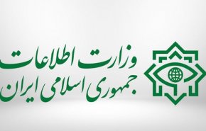 کشف محموله احتکار شده اقلام بهداشتی در تهران توسط وزارت اطلاعات
