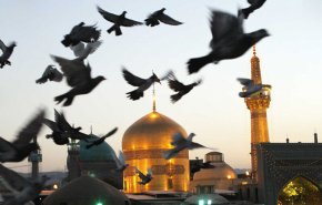 بیانیه مشترک 3 تولیت حرم های مطهر 
